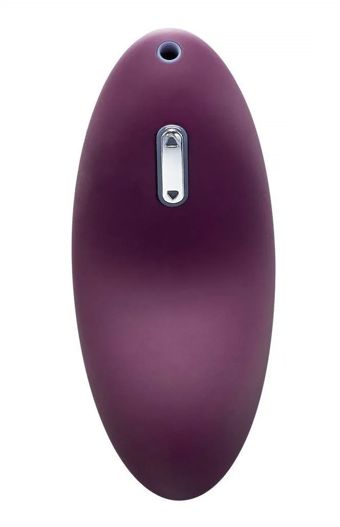 Универсальный массажер Svakom Echo, фиолетовый