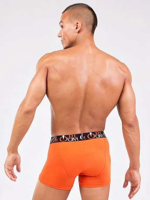 Эротическое трусы мужские боксеры opium r118, оранжевые в 