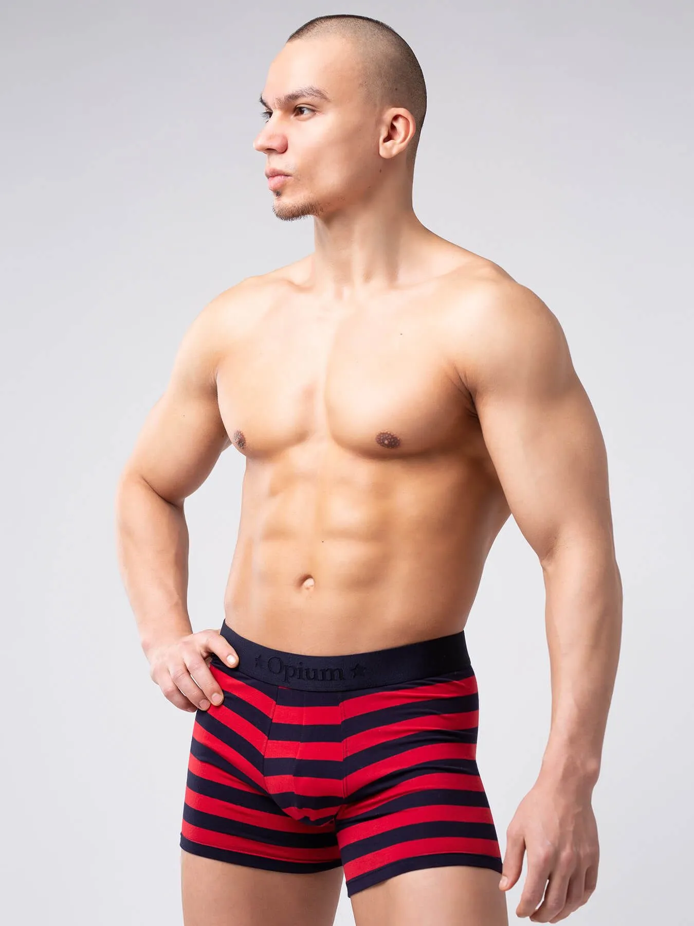 Эротическое трусы мужские удлиненные боксеры opium r126 в полоску в 