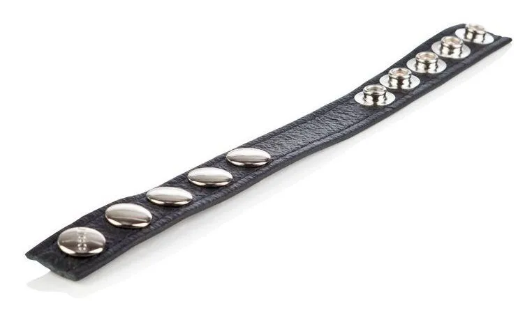 утяжка кожаная california exotic colt adjustable 5 snap, черная в 