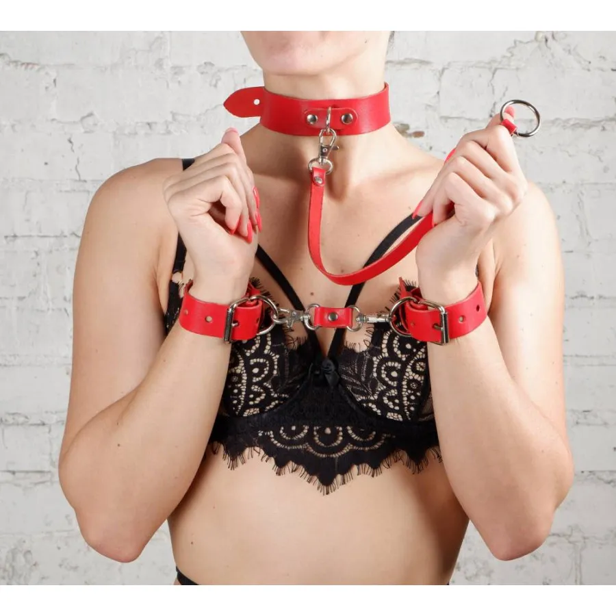 ошейник новичок 3358-2 в 